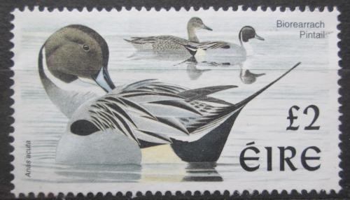 Poštová známka Írsko 1998 Ostralka štíhlá Mi# 1056 I xA Kat 5.50€