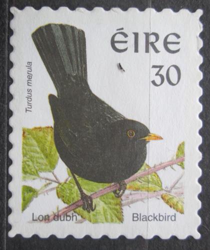 Poštová známka Írsko 1998 Kos èerný Mi# 1058