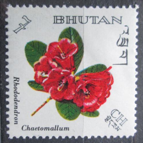 Poštová známka Bhútán 1967 Rhododendron chaetomallum Mi# 132