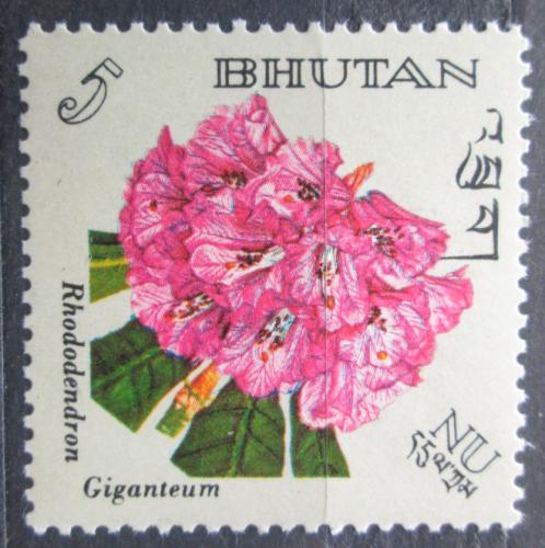 Poštová známka Bhútán 1967 Rhododendron giganteum Mi# 138