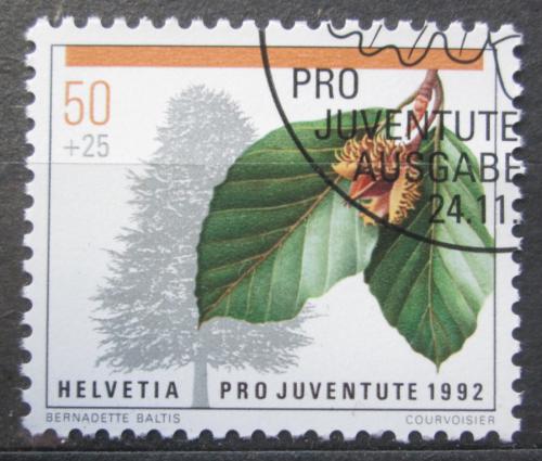 Poštová známka Švýcarsko 1992 Buk lesní Mi# 1484