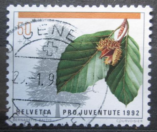 Poštová známka Švýcarsko 1992 Buk lesní Mi# 1484