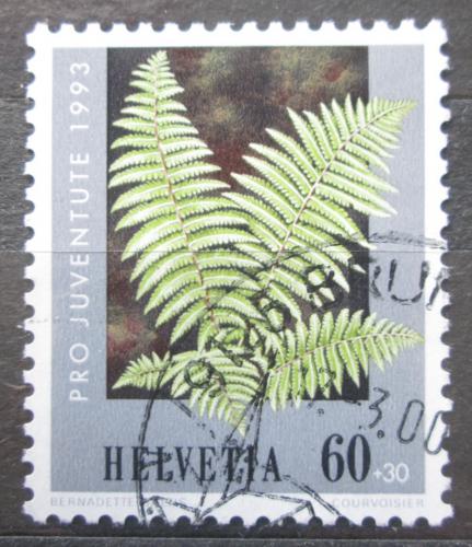 Poštová známka Švýcarsko 1993 Kapraï samec Mi# 1513