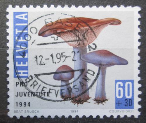 Poštová známka Švýcarsko 1994 Èirùvka fialová Mi# 1537