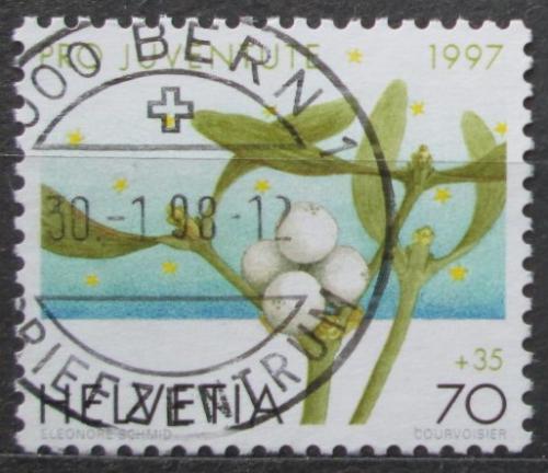 Poštová známka Švýcarsko 1997 Jmelí bílé Mi# 1629