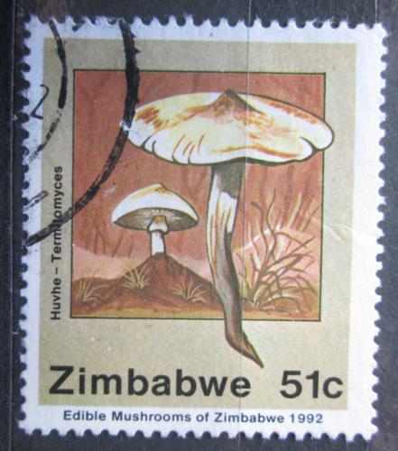 Poštová známka Zimbabwe 1992 Huby Mi# 478