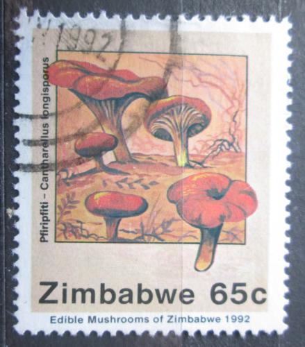 Poštová známka Zimbabwe 1992 Huby Mi# 480