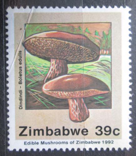 Poštová známka Zimbabwe 1992 Høib smrkový Mi# 477