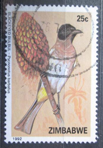 Poštová známka Zimbabwe 1992 Bulbul zahradní Mi# 482
