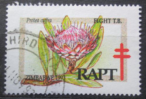 Poštová známka Zimbabwe 1993 Boj proti TBC, Protea caffra Mi# N/N