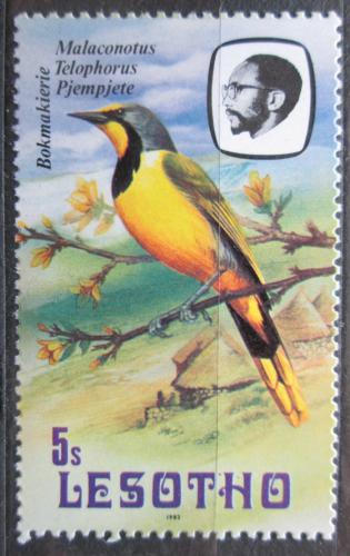 Poštová známka Lesotho 1981 �uhýkovec jihoafrický Mi# 333
