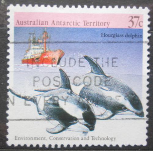 Poštovní známka Australská Antarktida 1988 Plískavice pestrá Mi# 79