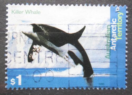 Poštová známka Australská Antarktída 1995 Kosatka dravá Mi# 105
