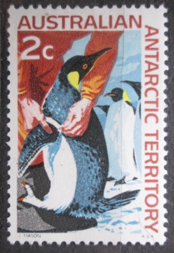 Poštová známka Australská Antarktída 1966 Znaèkování tuèòákù Mi# 9