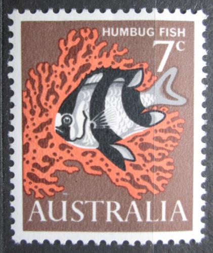 Poštová známka Austrália 1966 Dascyllus aruanus Mi# 364 I