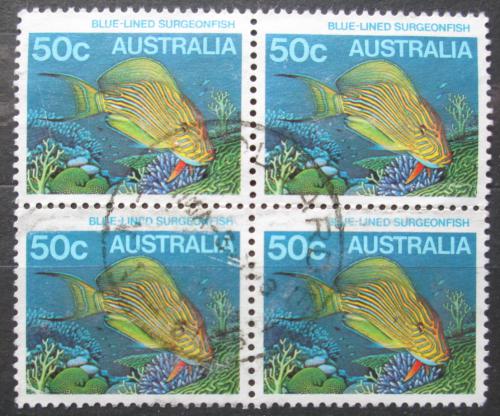 Poštové známky Austrália 1984 Ryba chøipkovitá ètyøblok Mi# 882