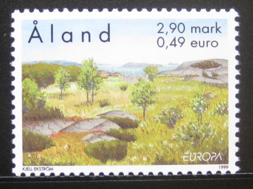 Poštová známka Alandy 1999 Európa CEPT, NP Idö, Kökar Mi# 157