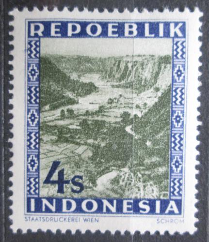Poštová známka Indonézia 1948 Buffalo Canyon SC# 6 