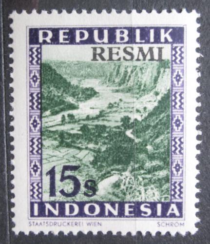 Poštová známka Indonézia 1949 Buffalo Canyon, úøední SC# O10 