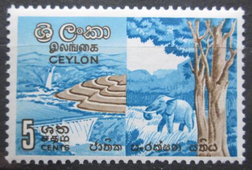 Poštová známka Cejlon 1963 Ochrana pøírody Mi# 325