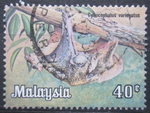 Poštová známka Malajsie 1979 Letucha malajská Mi# 190