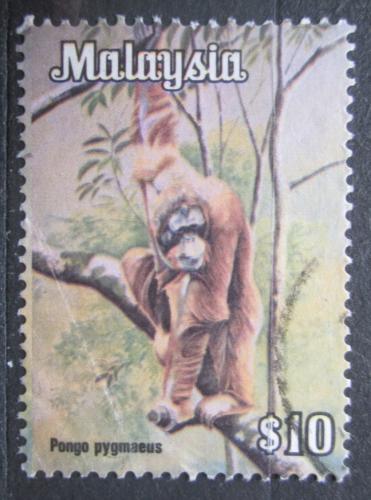 Poštová známka Malajsie 1979 Orangutan bornejský Mi# 196