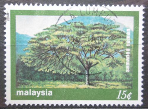 Poštová známka Malajsie 1981 Samanea saman Mi# 231