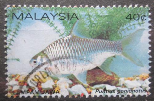 Poštová známka Malajsie 1983 Parmièka purpurová Mi# 260