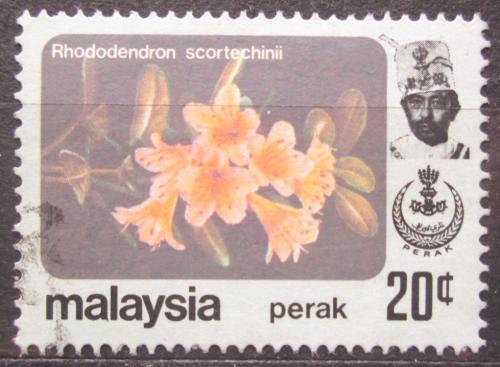 Poštová známka Malajsie, Perak 1979 Rhododendron scortechinii Mi# 134