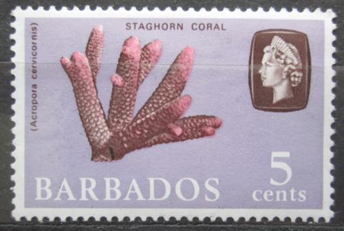 Poštová známka Barbados 1965 Vìtevník parožnatý Mi# 239