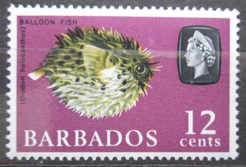 Poštová známka Barbados 1965 Ježík hnìdý Mi# 242 