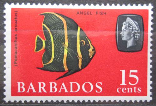 Poštová známka Barbados 1965 Skalár šedý Mi# 243