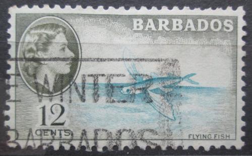 Poštová známka Barbados 1954 Létající ryba Mi# 210