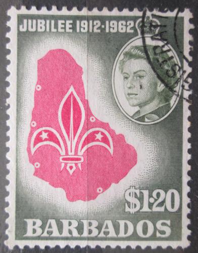 Poštová známka Barbados 1962 Skauting Mi# 224