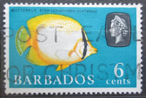 Poštová známka Barbados 1965 Klipka okatá Mi# 240