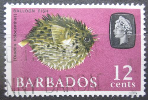 Poštová známka Barbados 1965 Ježík hnìdý Mi# 242