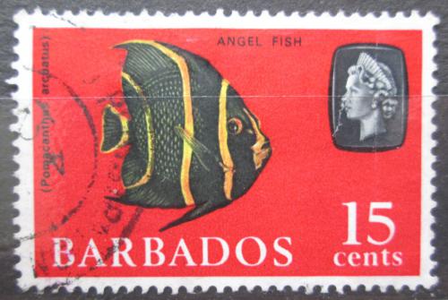 Poštová známka Barbados 1965 Skalár šedý Mi# 243