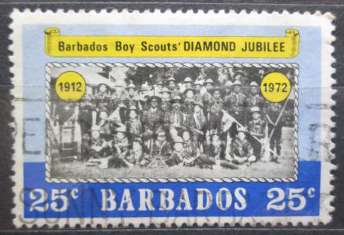 Poštová známka Barbados 1972 Skauting Mi# 343