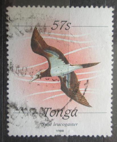 Poštová známka Tonga 1988 Terej žlutonohý Mi# 1046 II