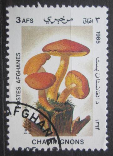Poštová známka Afganistan 1985 Šafránka èervenožlutá Mi# 1411 