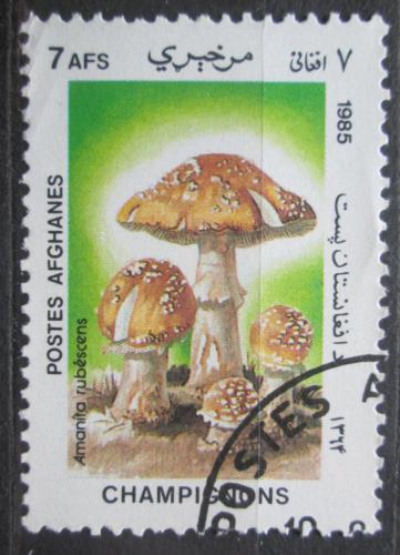 Poštová známka Afganistan 1985 Muchomùrka rùžovka Mi# 1413