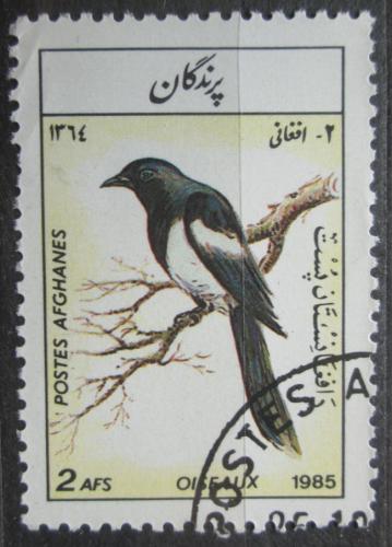 Poštová známka Afganistan 1985 Straka obecná Mi# 1445