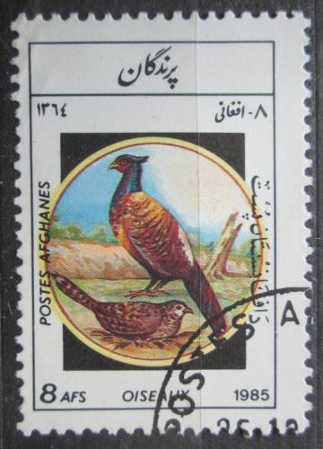 Poštová známka Afganistan 1985 Bažant obecný Mi# 1447