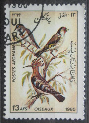 Poštová známka Afganistan 1985 Vtáci Mi# 1448