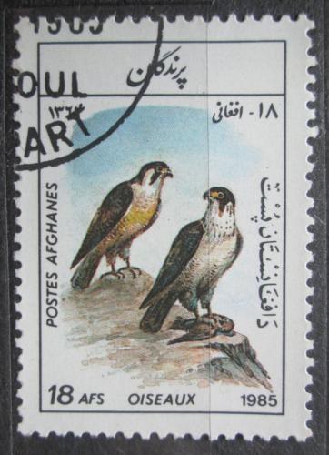 Poštová známka Afganistan 1985 Sokol stìhovavý Mi# 1449
