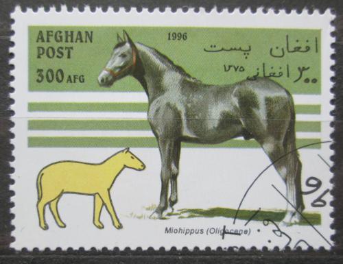 Poštová známka Afganistan 1996 Evoluce koní Mi# 1696