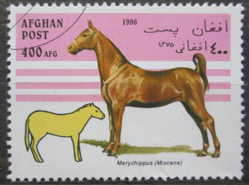 Poštová známka Afganistan 1996 Evoluce koní Mi# 1697