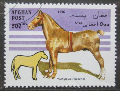 Poštová známka Afganistan 1996 Evoluce koní Mi# 1698