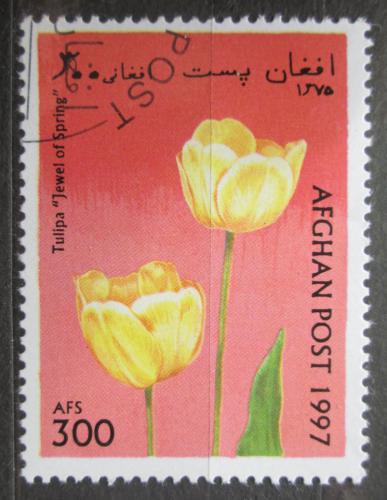 Poštová známka Afganistan 1997 Tulipány Mi# 1719