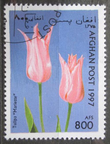 Poštová známka Afganistan 1997 Tulipány Mi# 1723